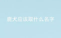 鹿犬应该取什么名字