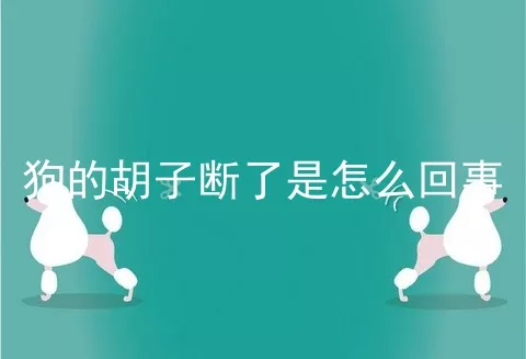 狗的胡子断了是怎么回事