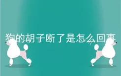 狗的胡子断了是怎么回事