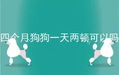 四个月狗狗一天两顿可以吗