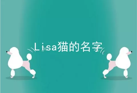 Lisa猫的名字