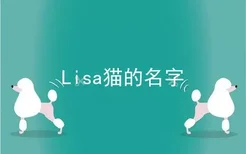 Lisa猫的名字