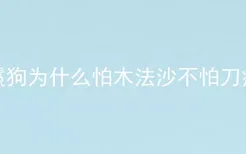 鬣狗为什么怕木法沙不怕刀疤