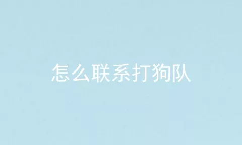 怎么联系打狗队