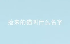 捡来的猫叫什么名字