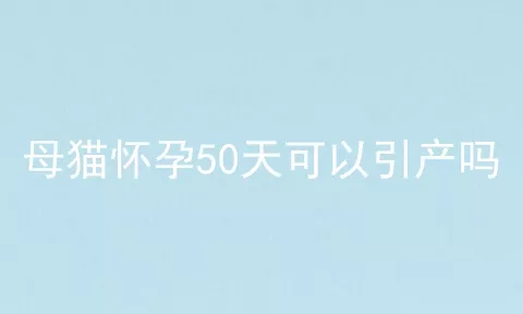 母猫怀孕50天可以引产吗