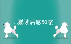 猫读后感50字