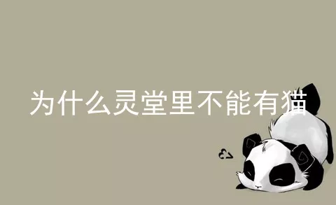 为什么灵堂里不能有猫