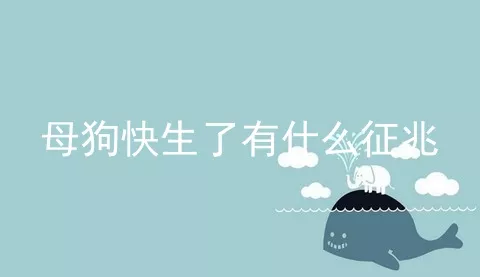 母狗快生了有什么征兆