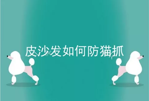 皮沙发如何防猫抓