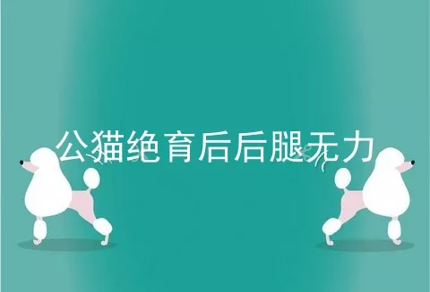 公猫绝育后后腿无力