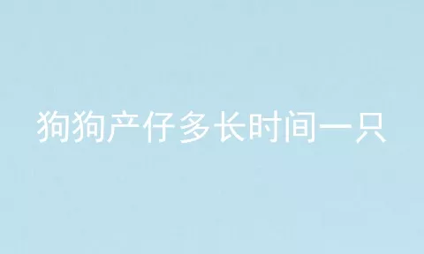 狗狗产仔多长时间一只