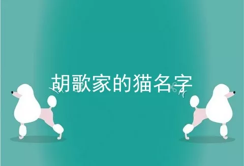 胡歌家的猫名字