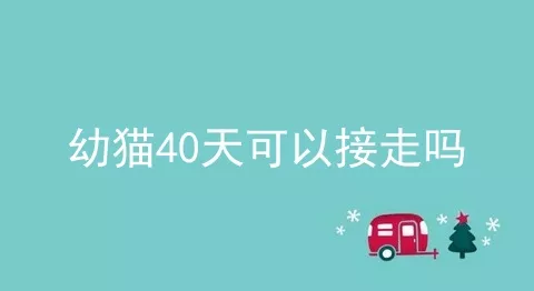 幼猫40天可以接走吗