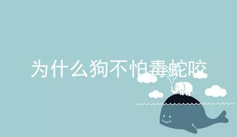 为什么狗不怕毒蛇咬