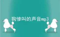 狗惨叫的声音mp3