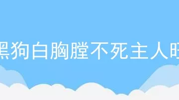 黑狗白胸膛不死主人旺