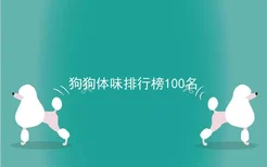 狗狗体味排行榜100名