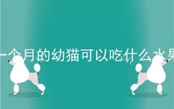 一个月的幼猫可以吃什么水果