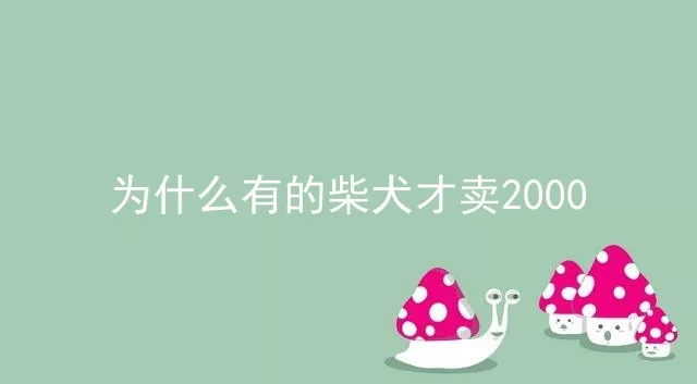 为什么有的柴犬才卖2000