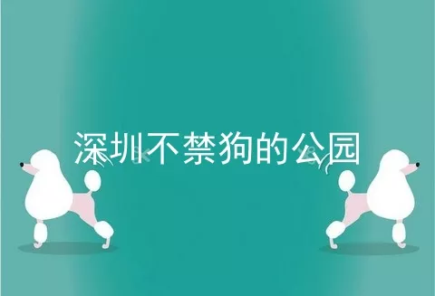 深圳不禁狗的公园