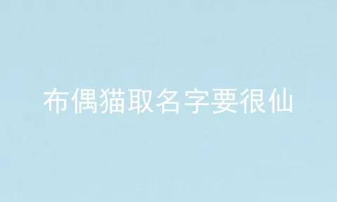 布偶猫取名字要很仙