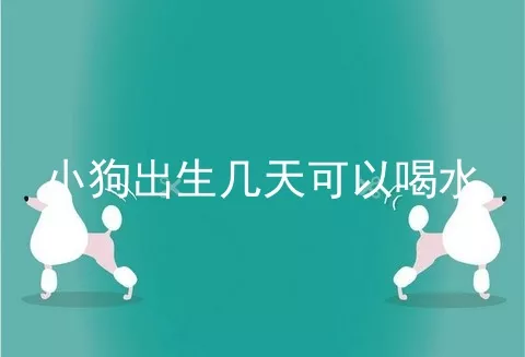 小狗出生几天可以喝水