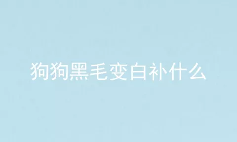 狗狗黑毛变白补什么