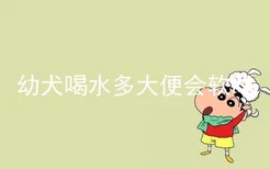 幼犬喝水多大便会软吗