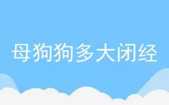 母狗狗多大闭经