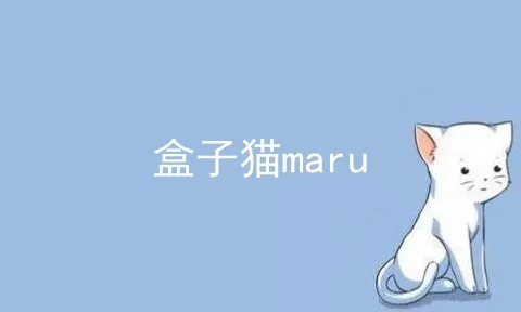 盒子猫maru