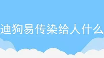 泰迪狗易传染给人什么病