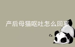 产后母猫呕吐怎么回事