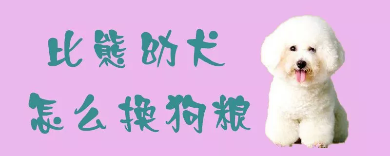 比熊幼犬怎么换狗粮1