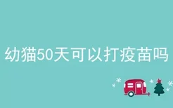 幼猫50天可以打疫苗吗