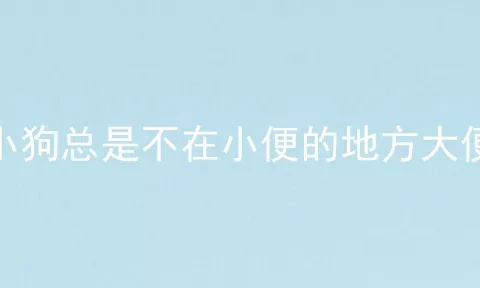 小狗总是不在小便的地方大便