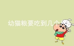 幼猫粮要吃到几个月