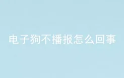 电子狗不播报怎么回事