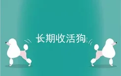 长期收活狗