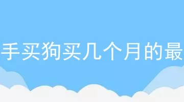 新手买狗买几个月的最好