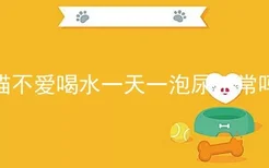 猫不爱喝水一天一泡尿正常吗