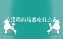 公猫尿路堵塞吃什么药