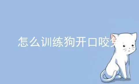 怎么训练狗开口咬兔