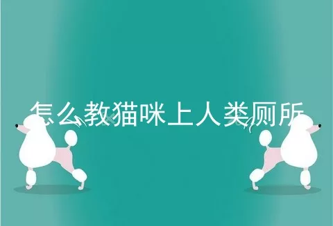 怎么教猫咪上人类厕所