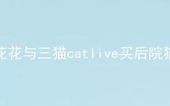 花花与三猫catlive买后院猫