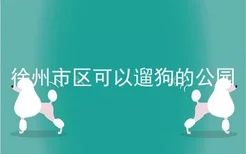 徐州市区可以遛狗的公园