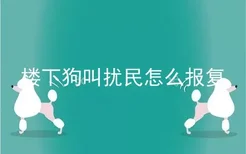 楼下狗叫扰民怎么报复