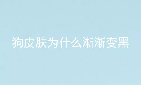 狗皮肤为什么渐渐变黑