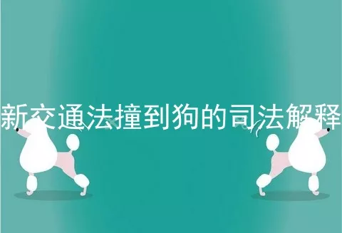 新交通法撞到狗的司法解释