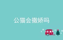 公猫会撒娇吗